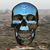Andy Bors's profile image
