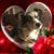 Catherine St Clair's profile image