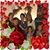 Cindy Lerch's profile image