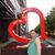 Sonia Ventura's profile image