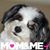 Fern Friedberg's profile image