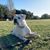 Iris Taylor's profile image