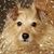 Jennifer Hardin's profile image