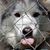 Julie Selleseth's profile image