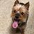 Terri Frisella Kunst's profile image