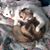 Kylie Doucette-Carrigan's profile image