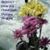 Kathy Haddon's profile image