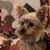 Mary Kompare's profile image