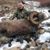 Heather Ann Jordan's profile image