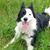 Heather Herring's profile image