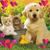 Linda Moore's profile image