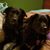 Sharon K Engen's profile image