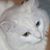 Rebecca Alderman's profile image