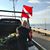 Toni Amorim's profile image