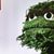 Luis Duran's profile image