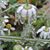 Sherry Mussard's profile image