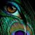 Candk E.'s profile image