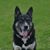 Kelly Genson-Clark's profile image