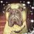 Audrey Reynolds's profile image