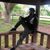 Gavin V Oliver's profile image