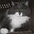 Shelly Kekes's profile image