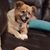 Sandra Haught DeBardelaben's profile image