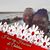 Neicy Showers's profile image