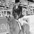 Sara Graham Stuflick's profile image
