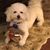 Carolyn Simpson's profile image