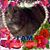 Kathy Hughes Simmons's profile image