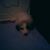 Daniel Turner's profile image