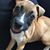 Suzi Dyche's profile image