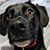 Staci Miller- Ajello's profile image
