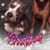 Lisa Hoch's profile image