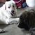 Nancy DiRocco's profile image