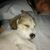 Sue Burk's profile image