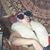 Trevor CavemanBeta Havelka's profile image