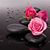 Stephanie J Martinez's profile image
