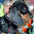 Deana McGrew's profile image