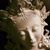 Shauna Tibet Allen's profile image
