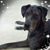 Julian R Criner Jr's profile image