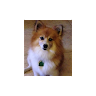 maureen t.'s profile image