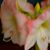 Elaine Criscione's profile image