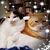 Kelly Jessup Casebeer's profile image