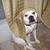 Pamela Anne's profile image