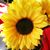 Sabrina May Watts's profile image