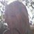 Crystal Pach's profile image