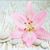 Tami Marshall Zimmerman's profile image