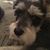 Judy Breland McDaniel's profile image