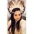 Shellz Khan's profile image